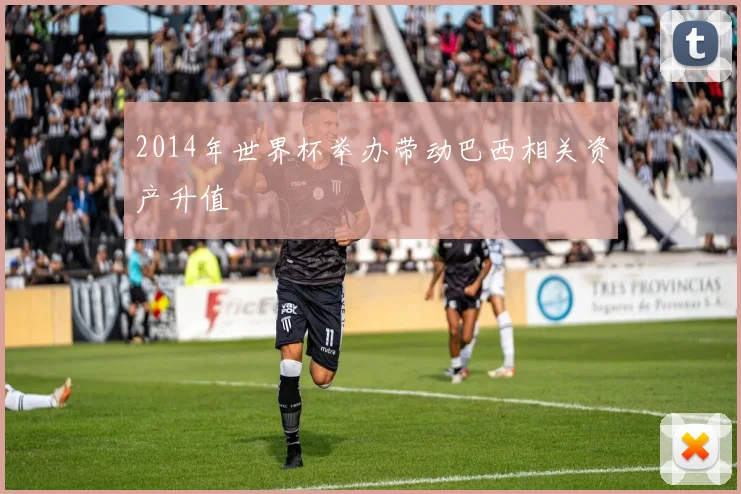 2014年世界杯举办带动巴西相关资产升值