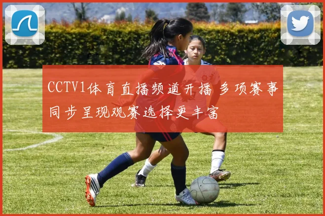 CCTV1体育直播频道开播 多项赛事同步呈现观赛选择更丰富