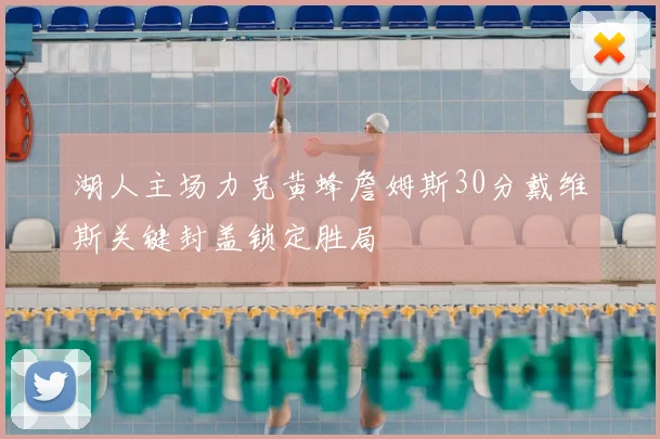 湖人主场力克黄蜂詹姆斯30分戴维斯关键封盖锁定胜局