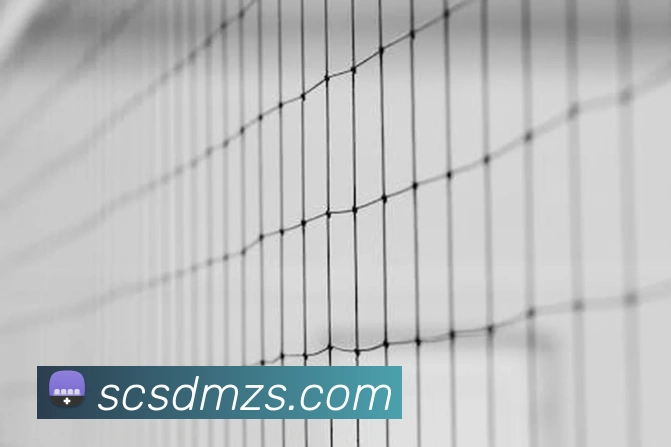 在线买世界杯平台服务体系